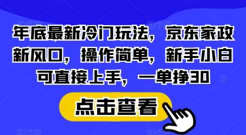 年底最新冷门玩法，京东家政新风口，操作简单，新手小白可直接上手，一单挣30【揭秘】-三六网赚