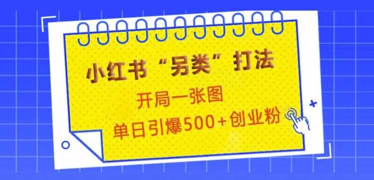 小红书“另类”打法，开局一张图，单日引爆500+精准创业粉【揭秘】-三六网赚