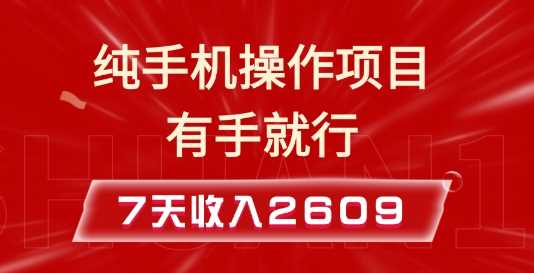 纯手机操作的小项目，有手就能做，7天收入2609+实操教程【揭秘】-三六网赚