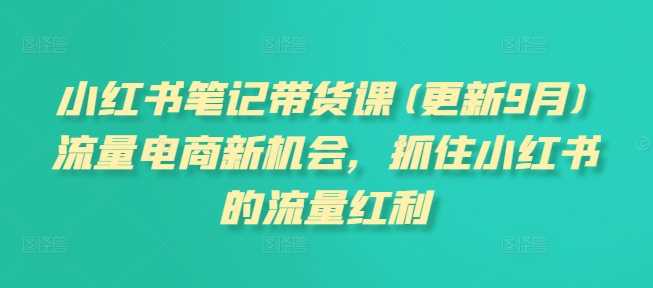 小红书笔记带货课(更新12月)流量电商新机会，抓住小红书的流量红利-三六网赚