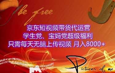 京东短视频带货代运营，学生党、宝妈党超级福利，只需每天无脑上传视频，月入8000+【仅揭秘】-三六网赚