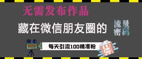 藏在微信朋友圈的流量密码，无需发布作品，单日引流100+精准创业粉【揭秘】-三六网赚