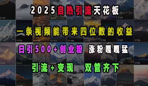 2025自热引流天花板，一条视频能带来四位数的收益，引流+变现双管齐下，日引500+创业粉，涨粉嘎嘎猛-三六网赚