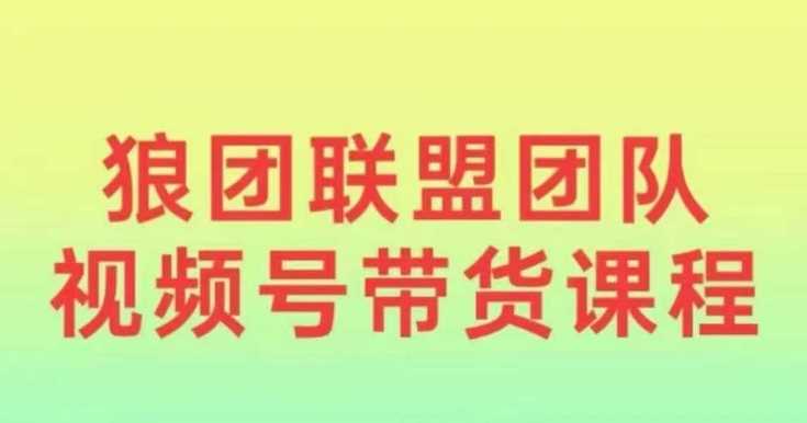 狼团联盟2024视频号带货，0基础小白快速入局视频号-三六网赚