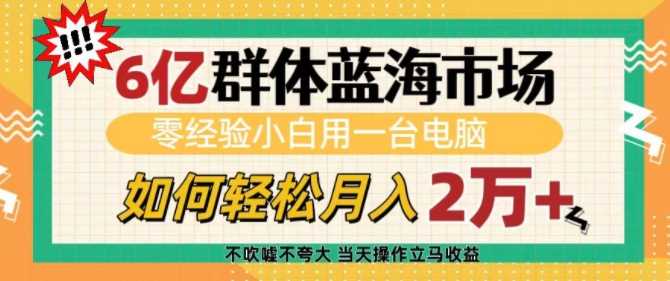 6亿群体蓝海市场，零经验小白用一台电脑，如何轻松月入过w【揭秘】-三六网赚