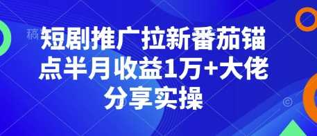 短剧推广拉新番茄锚点半月收益1万+大佬分享实操-三六网赚