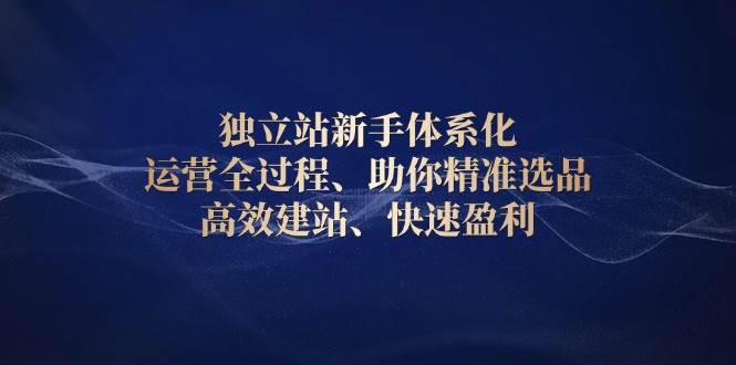 （13914期）独立站新手体系化 运营全过程，助你精准选品、高效建站、快速盈利-三六网赚