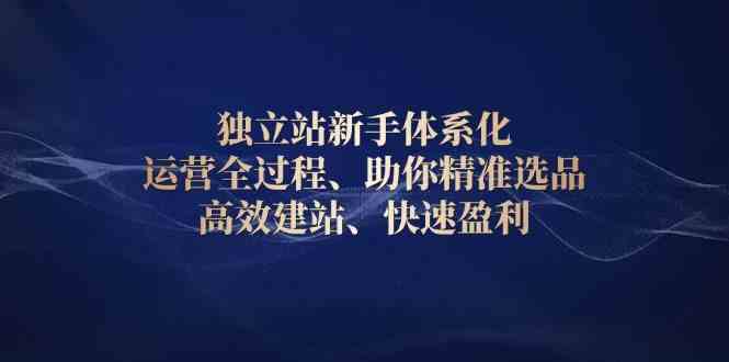 独立站新手体系化 运营全过程，助你精准选品、高效建站、快速盈利-三六网赚