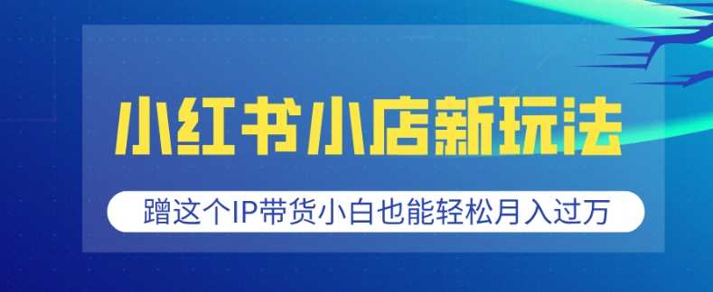 小红书小店新玩法，蹭这个IP带货，小白也能轻松月入过W【揭秘】-三六网赚