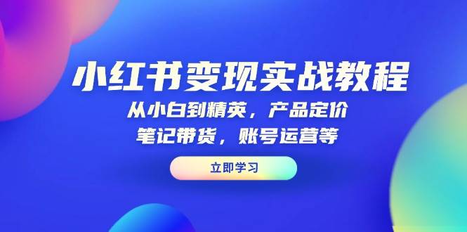 小红书变现实战教程：从小白到精英，产品定价，笔记带货，账号运营等-三六网赚