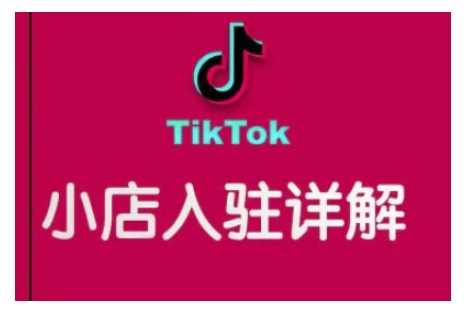 TikTok跨境小店运营全攻略，帮助你独立运营TK跨境小店的能力，实现销量增长-三六网赚