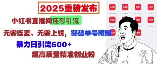 2025重磅发布：小红书直播间连怼引流，无需连麦、无需上镜，突破单号限制，暴力日引流600+-三六网赚