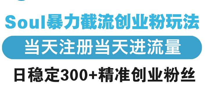 （13935期）Soul暴力截流创业粉玩法，当天注册当天进流量，日稳定300+精准创业粉丝-三六网赚