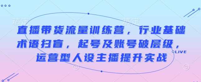 直播带货流量训练营，行业基础术语扫盲，起号及账号破层级，运营型人设主播提升实战-三六网赚