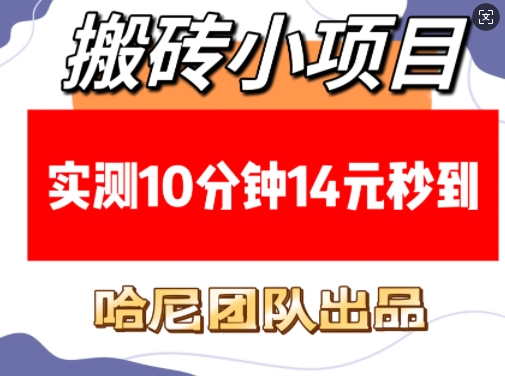 搬砖小项目，实测10分钟14元秒到，每天稳定几张(赠送必看稳定)-三六网赚