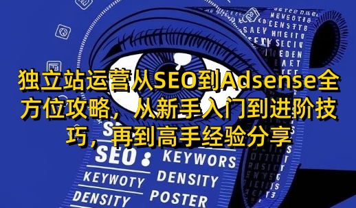 独立站运营从SEO到Adsense全方位攻略，从新手入门到进阶技巧，再到高手经验分享-三六网赚