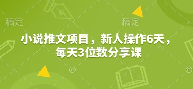 小说推文项目，新人操作6天，每天3位数分享课-三六网赚