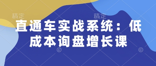 直通车实战系统：低成本询盘增长课，让个人通过技能实现升职加薪，让企业低成本获客，订单源源不断-三六网赚